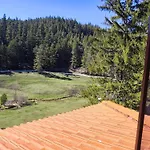 Daisy Forest Gerendaház