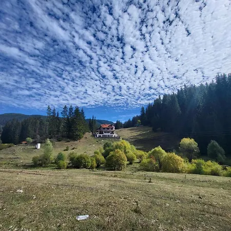 Daisy Forest Domek letniskowy *
