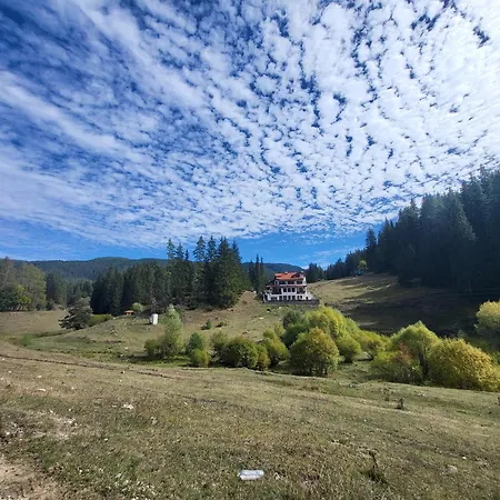 Domek letniskowy Daisy Forest Borino
