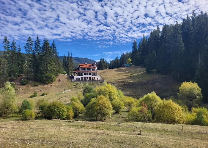 Daisy Forest * Borino