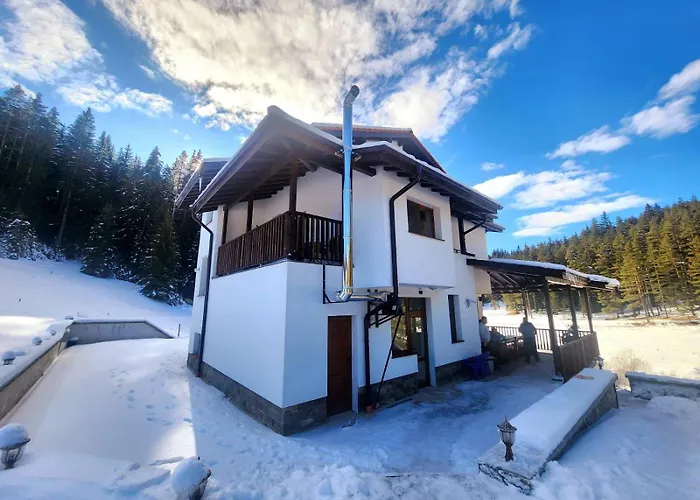 Daisy Forest Lodge *